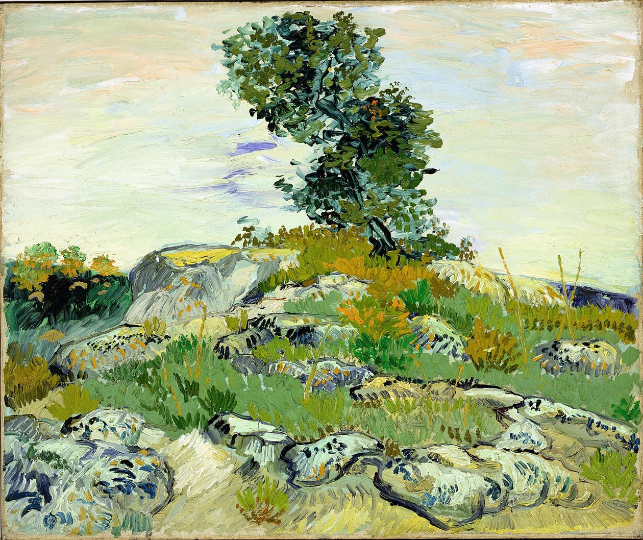 Klipperne af Vincent van Gogh