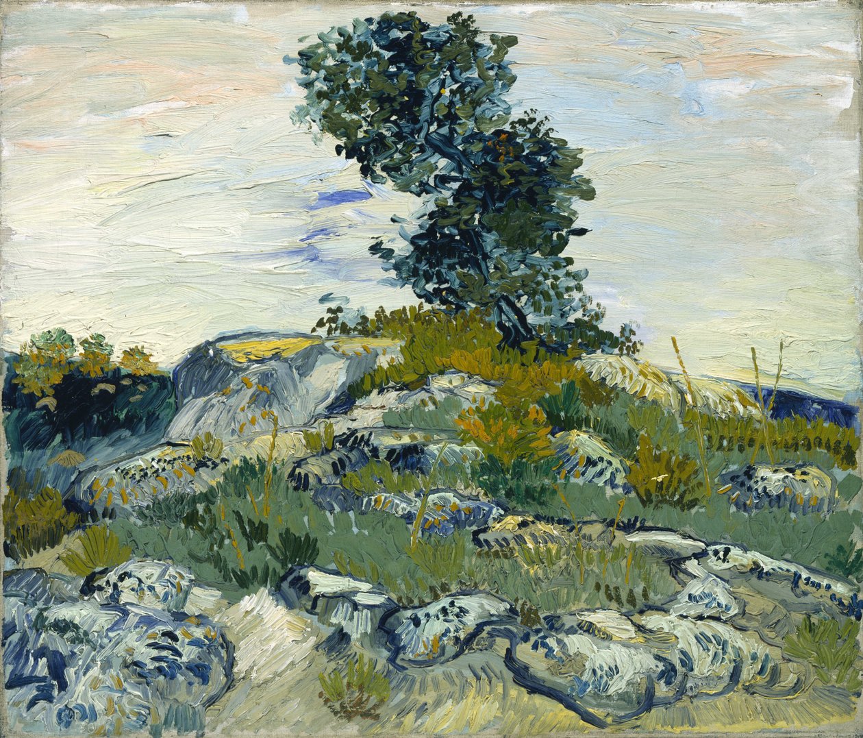 Klipperne / Klipper med egetræ af Vincent van Gogh