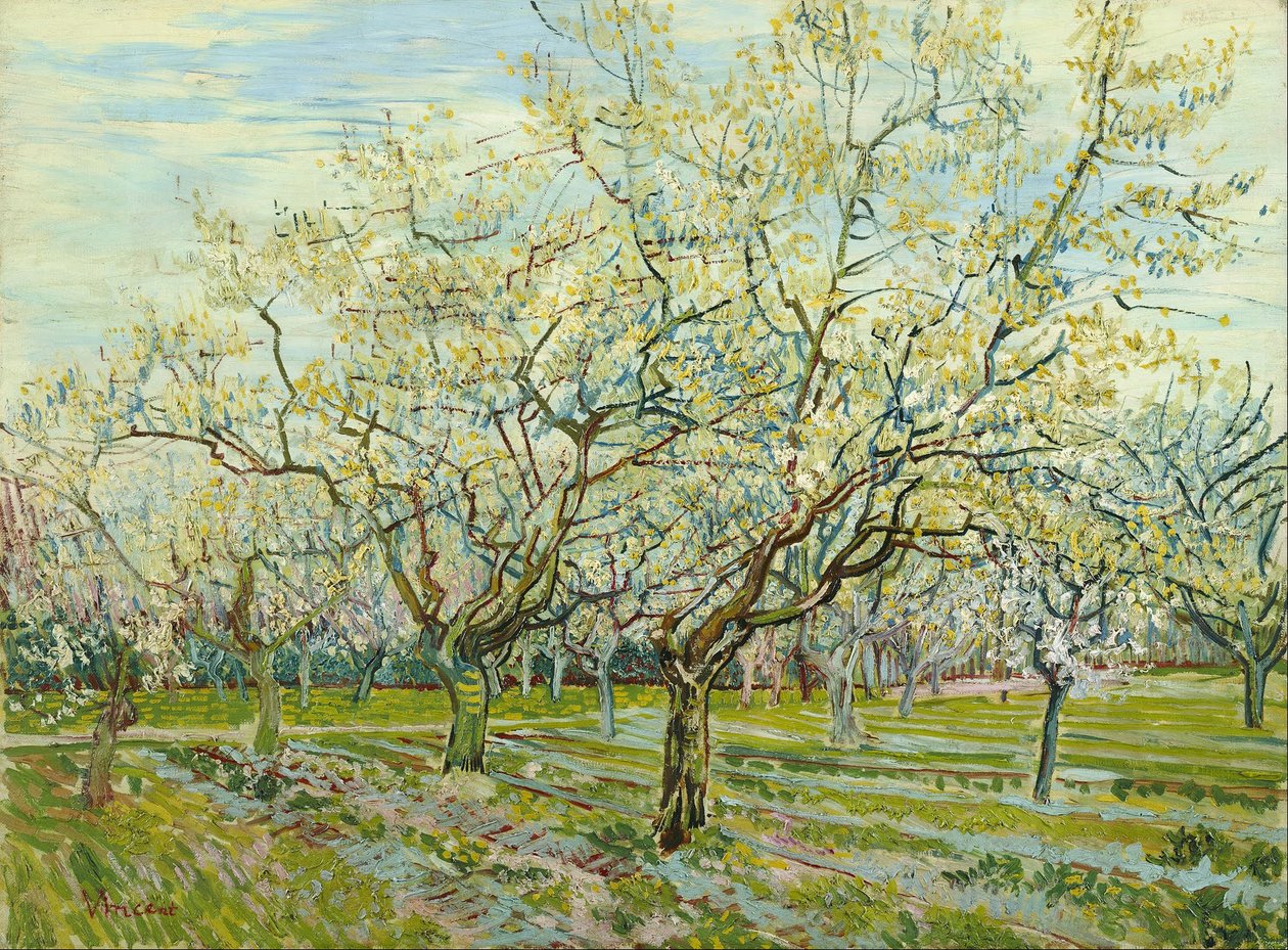 Den hvide frugthave af Vincent van Gogh