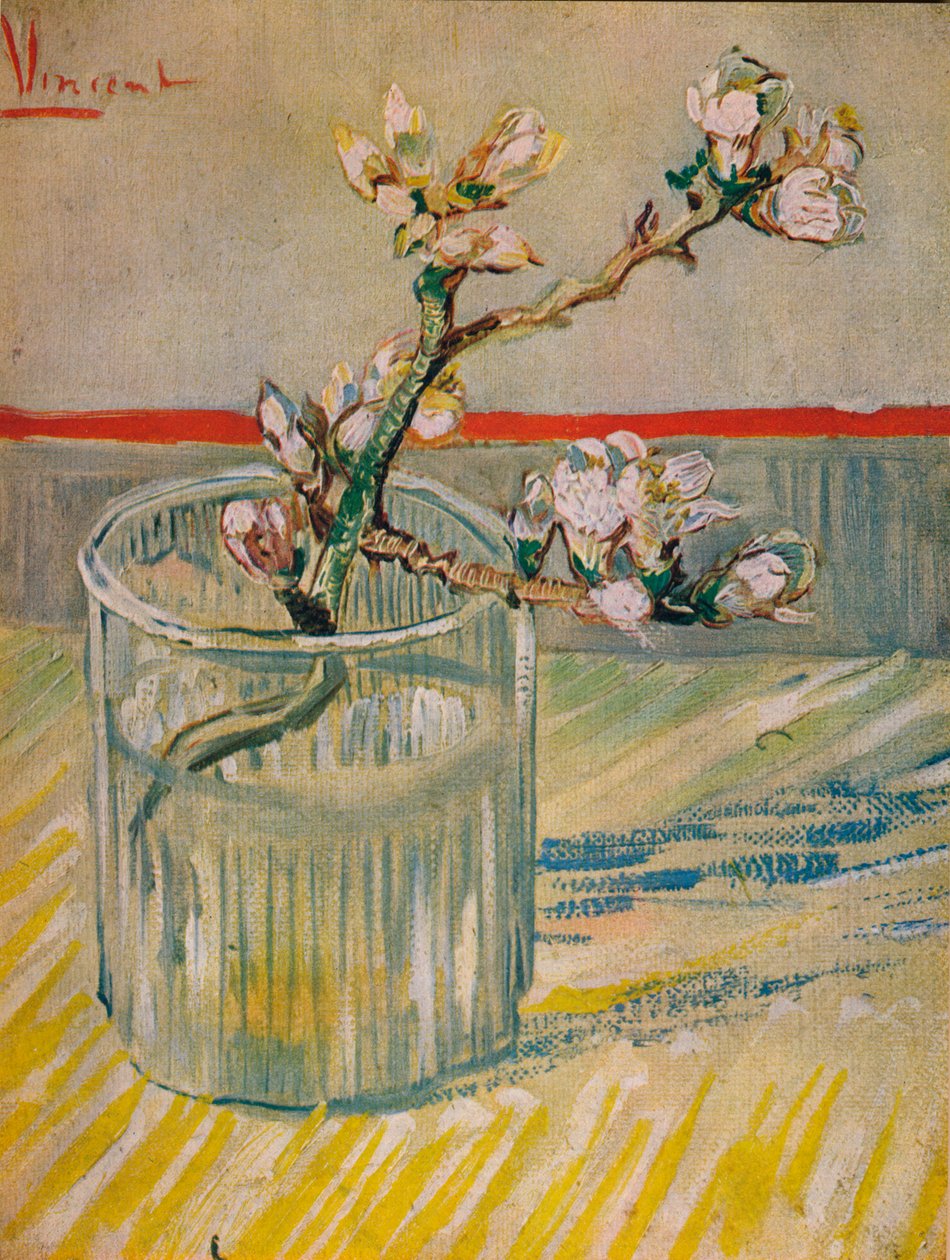 Mandelblomstrende stilk, 1888 af Vincent van Gogh
