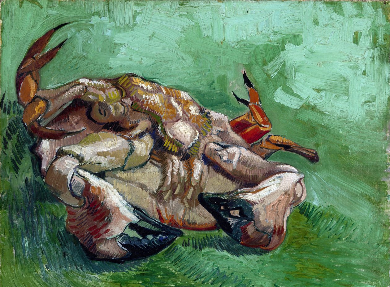 "En krabbe liggende på ryggen" Maleri af Vincent van Gogh (1853-1890) 1889 Dim 38x46,5 cm Van Gogh Museum, Amsterdam af Vincent van Gogh