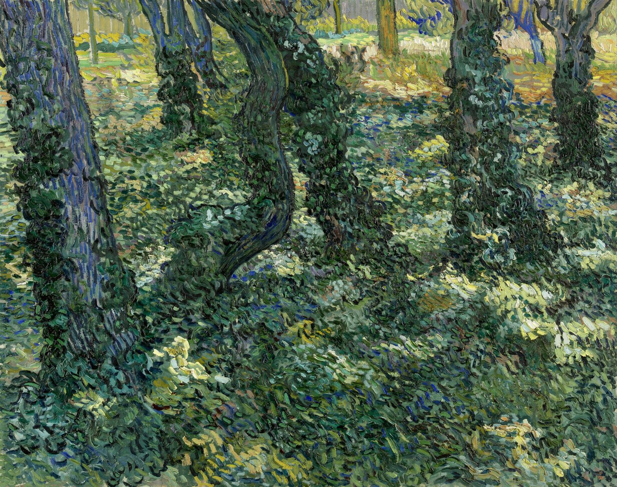 Underskov, 1889 af Vincent van Gogh