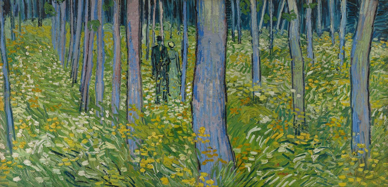 Aluskasvillisuus kahdella hahmolla af Vincent van Gogh