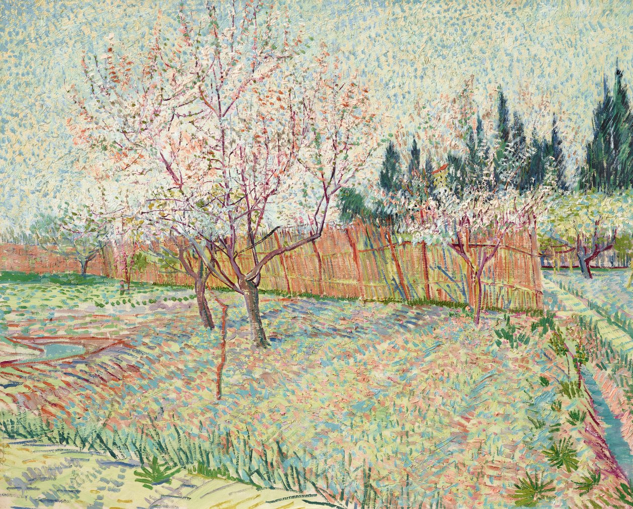 Frugthave med cypresser af Vincent van Gogh