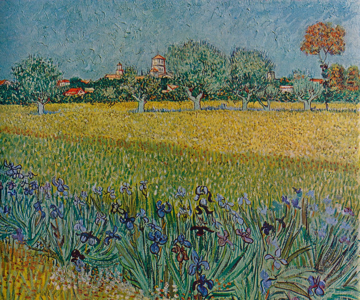 Udsigt over Ales med iris i blomst, 1888 af Vincent van Gogh