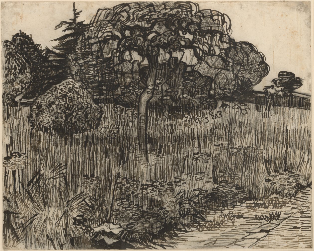 Grædende træ af Vincent van Gogh