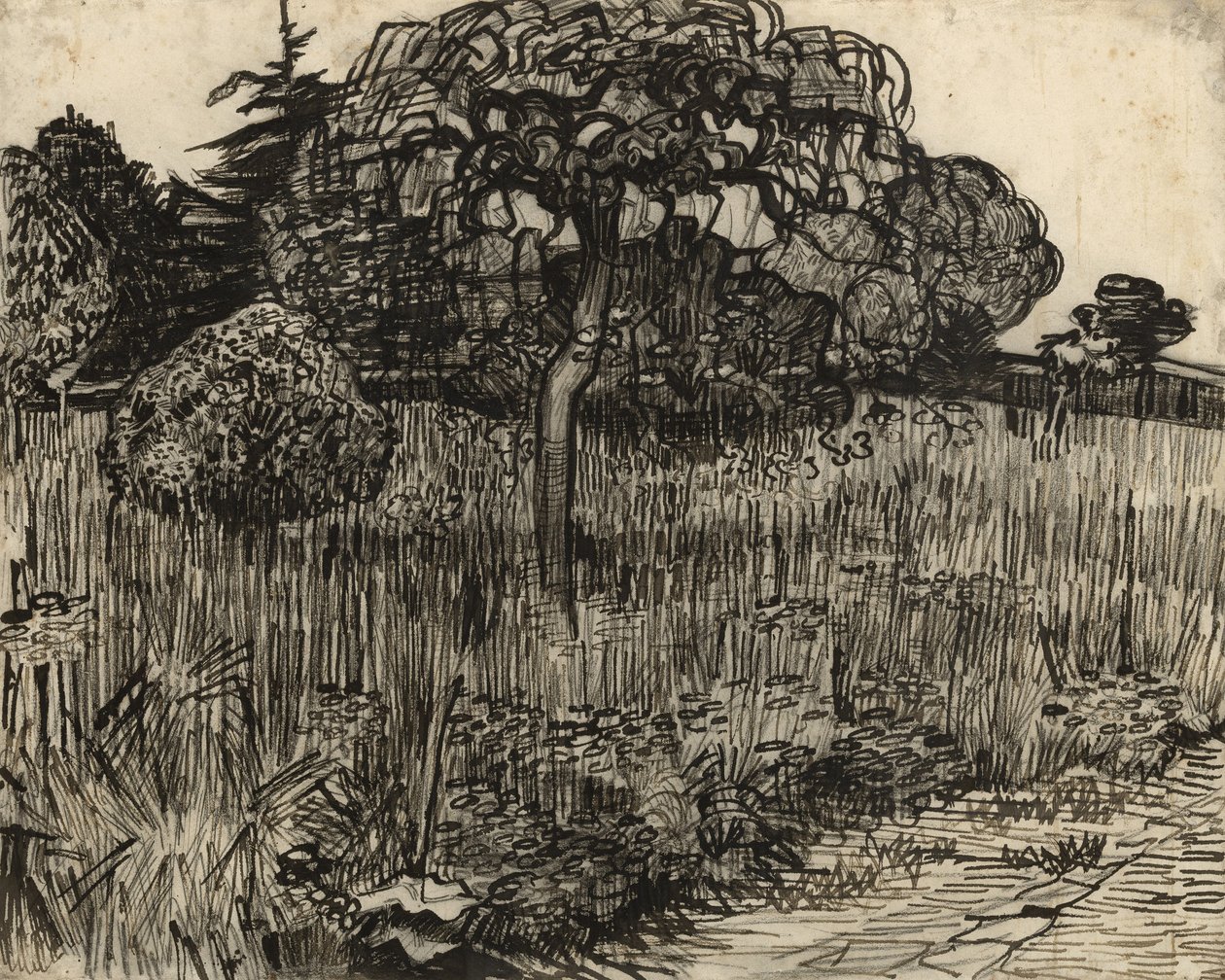 Grædende træ, 1889 af Vincent van Gogh