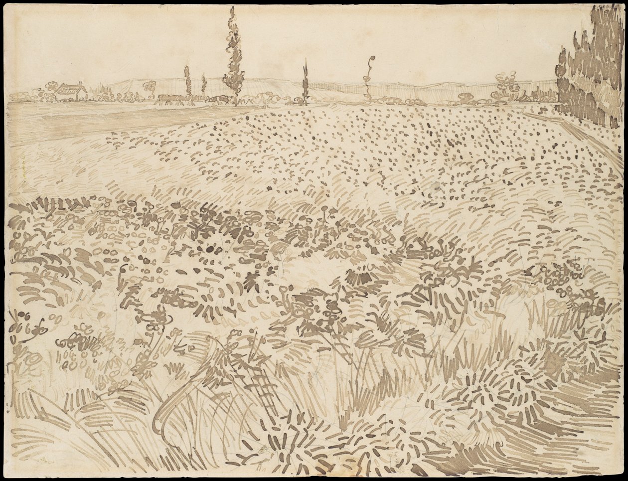 Hvedemark af Vincent van Gogh
