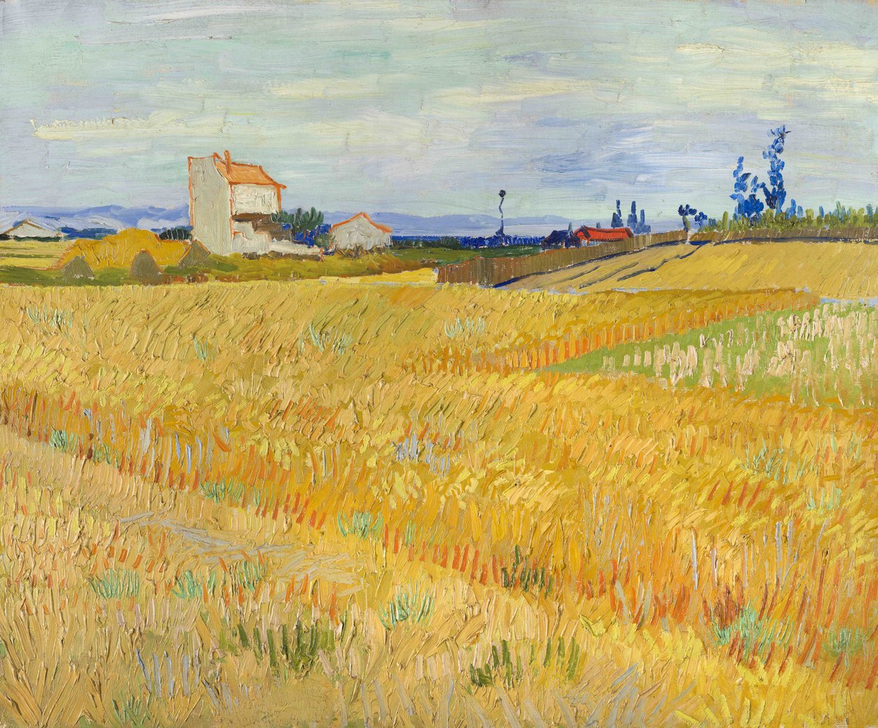 Hvedemark (Champs de blé) af Vincent van Gogh
