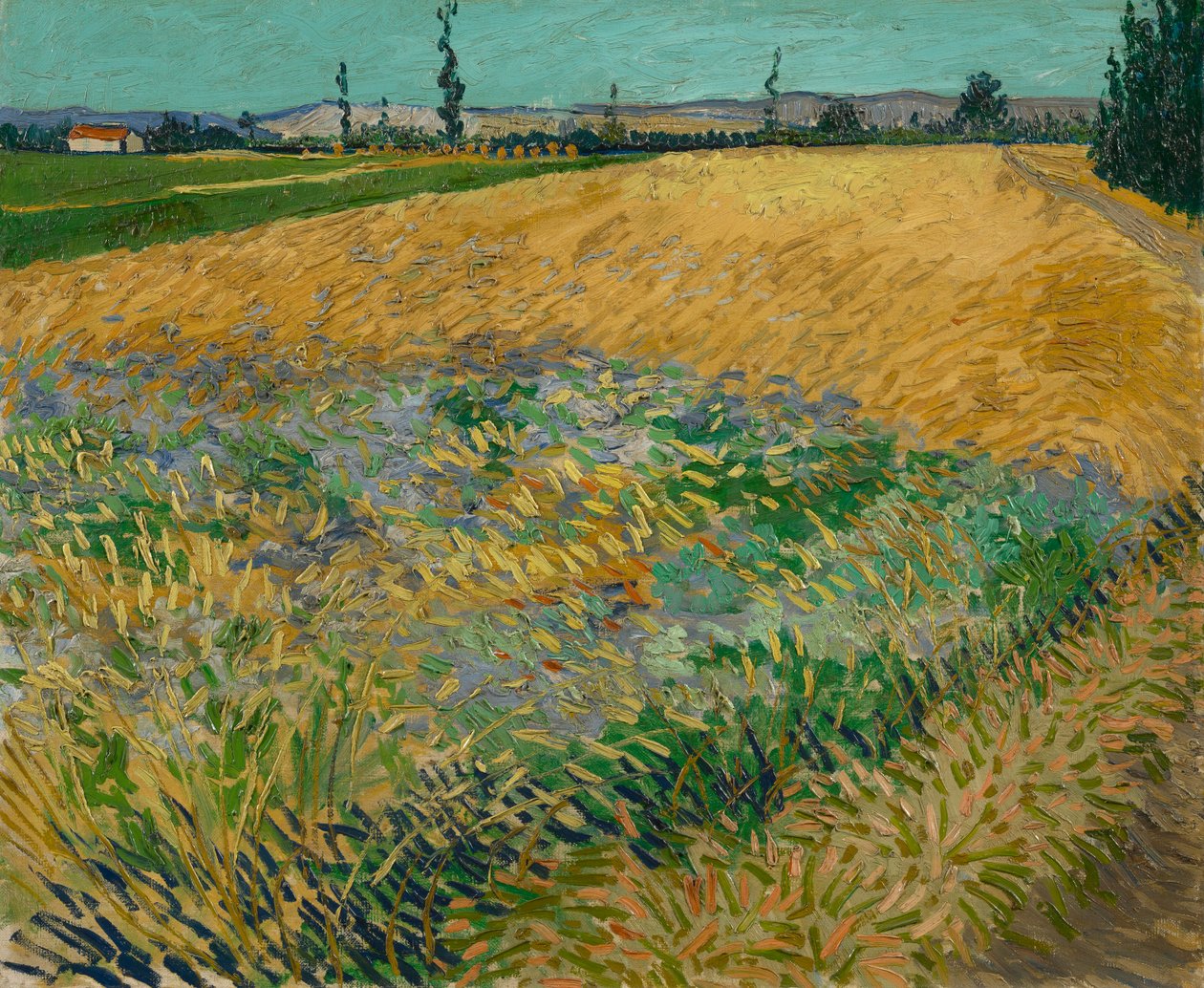 Hvedemark af Vincent van Gogh