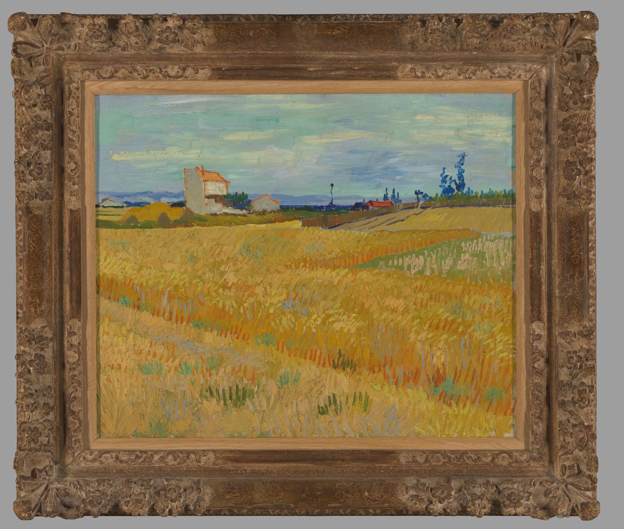 Hvedemark af Vincent van Gogh