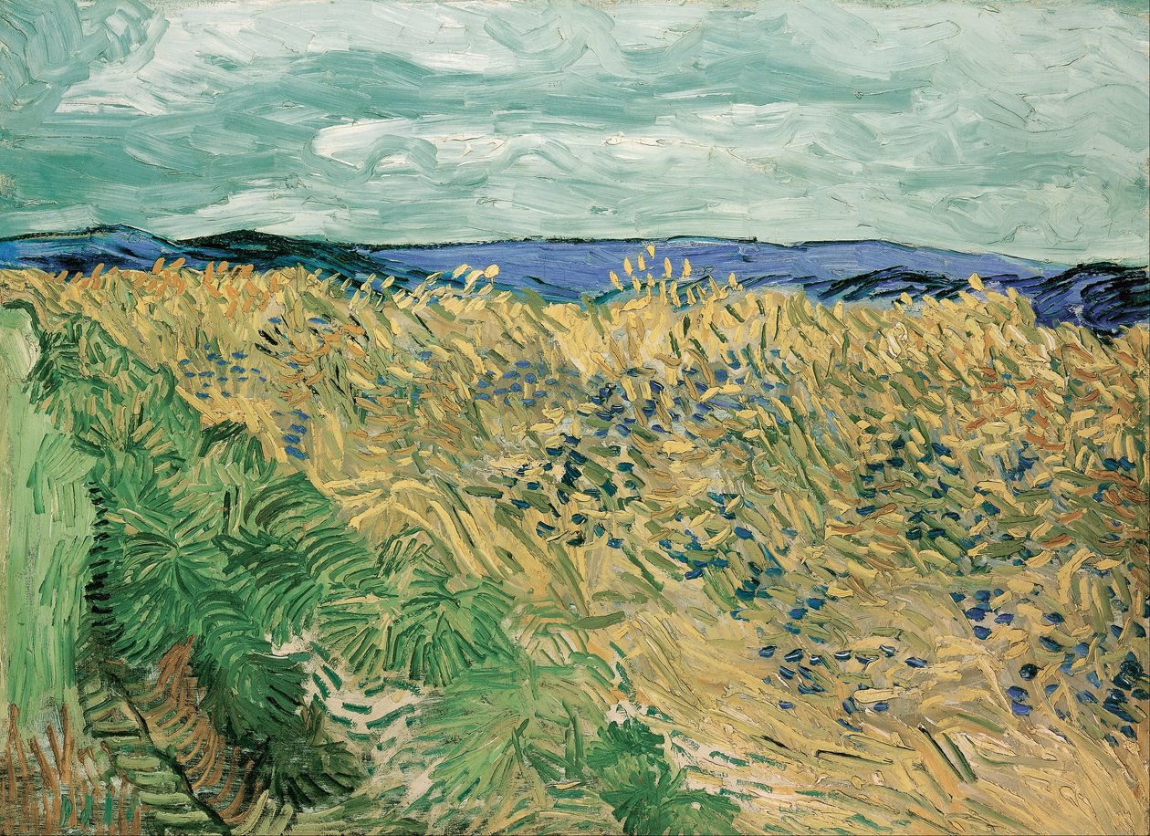 Hvedemark med kornblomster af Vincent van Gogh