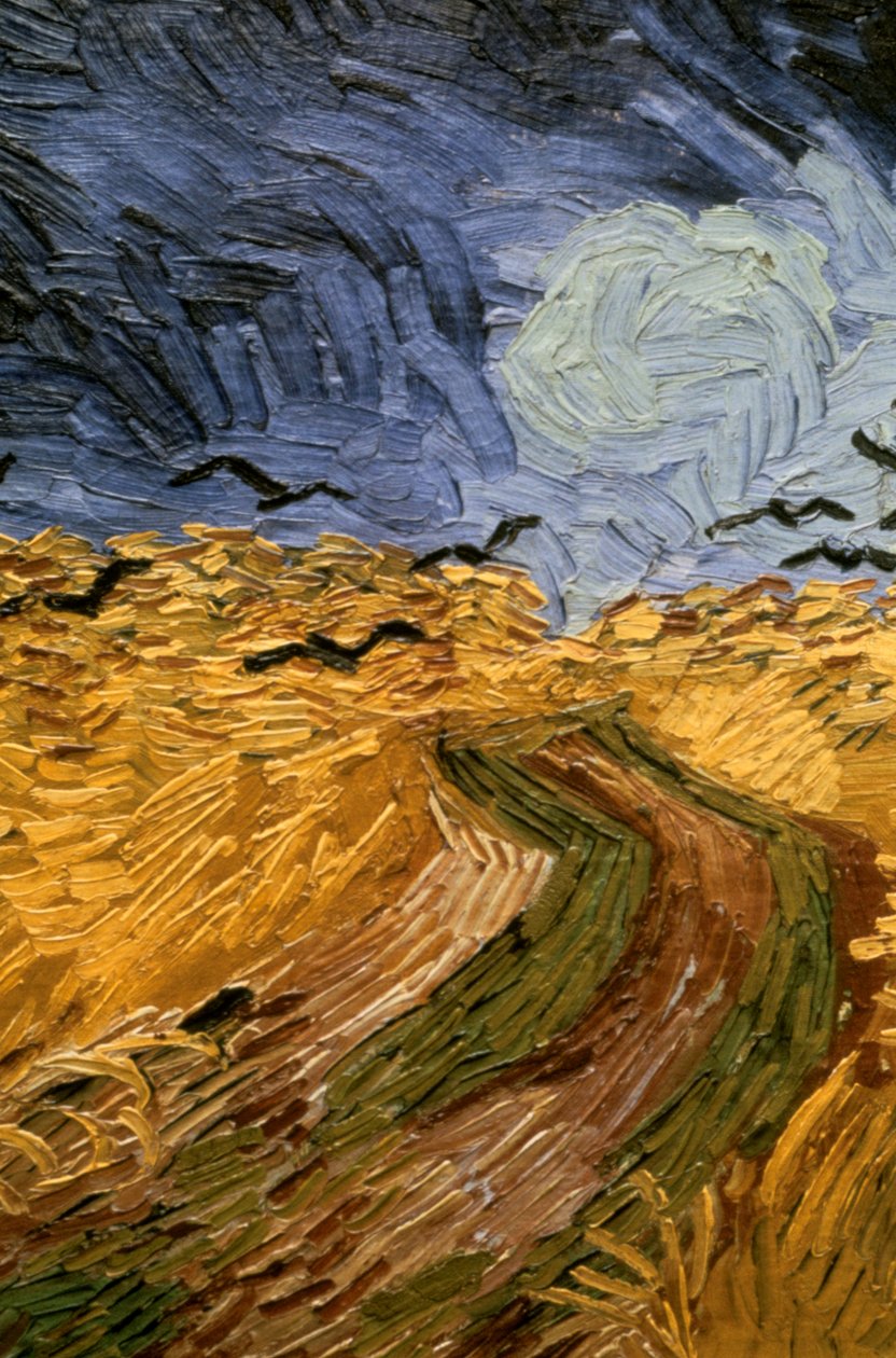 Hvedemark med krager, detalje 1890. af Vincent van Gogh
