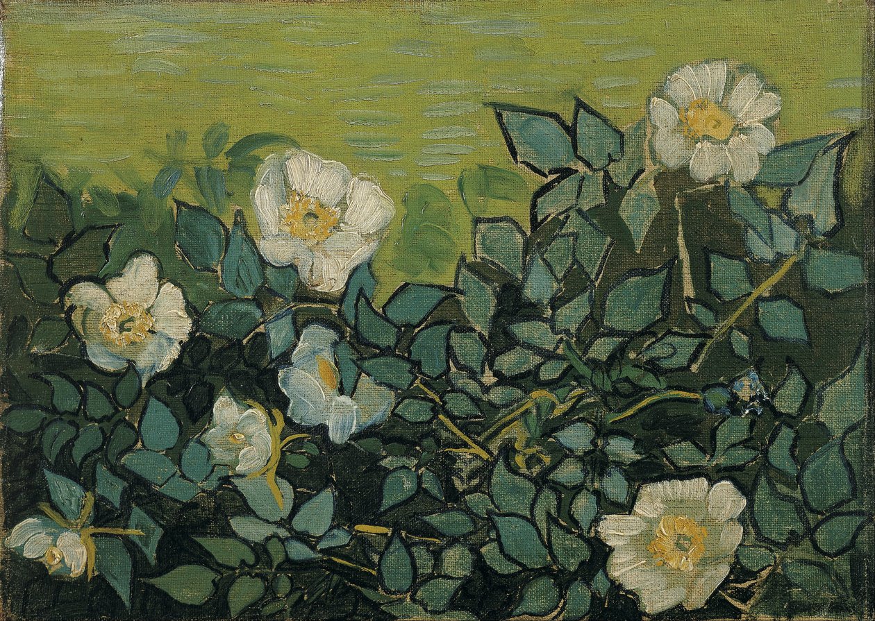 Vilde roser af Vincent van Gogh
