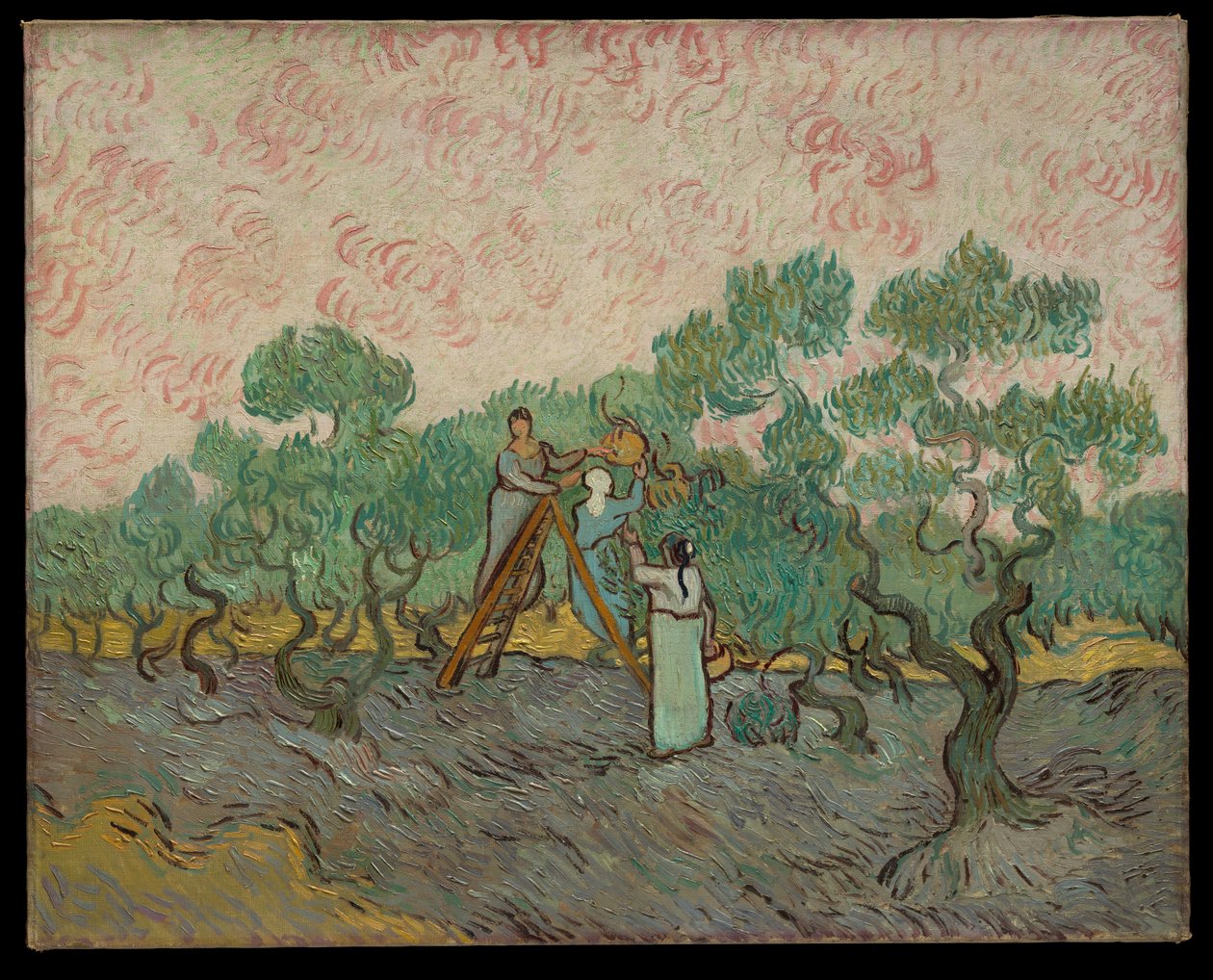 Kvinder, der plukker oliven af Vincent van Gogh