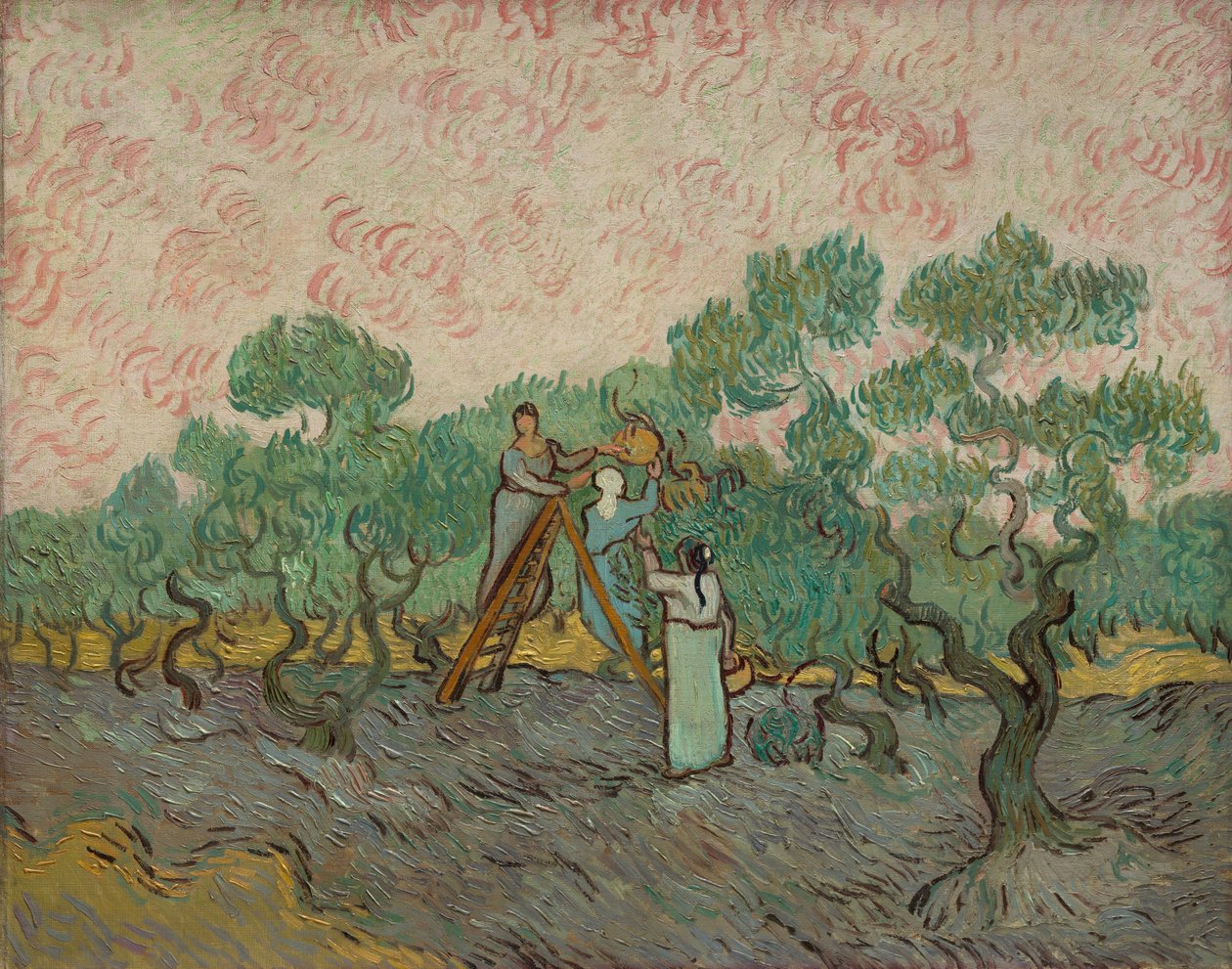 Kvinder plukker oliven, 1889. af Vincent van Gogh
