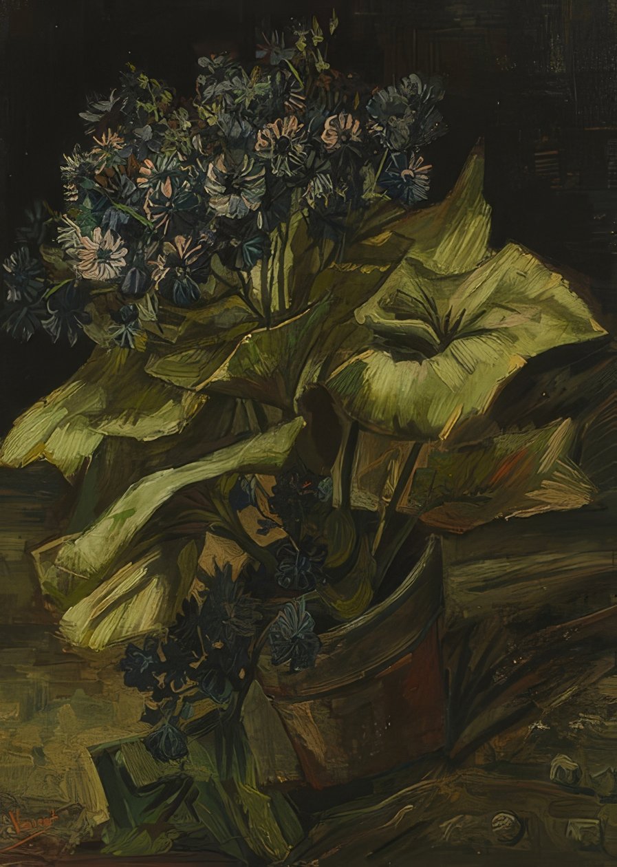 Zinerarie. 1885 af Vincent van Gogh