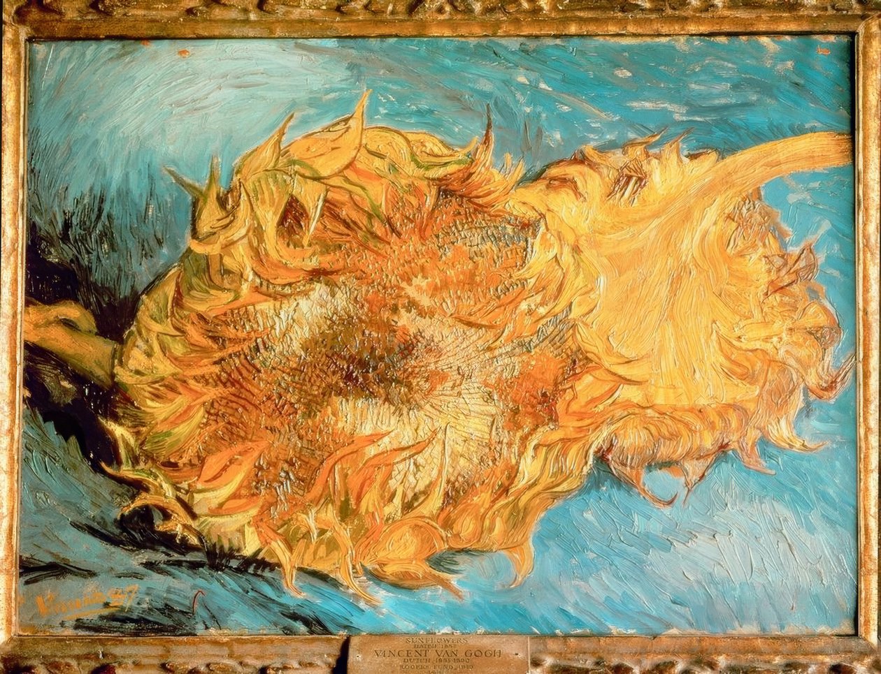 To afskårne solsikker af Vincent van Gogh