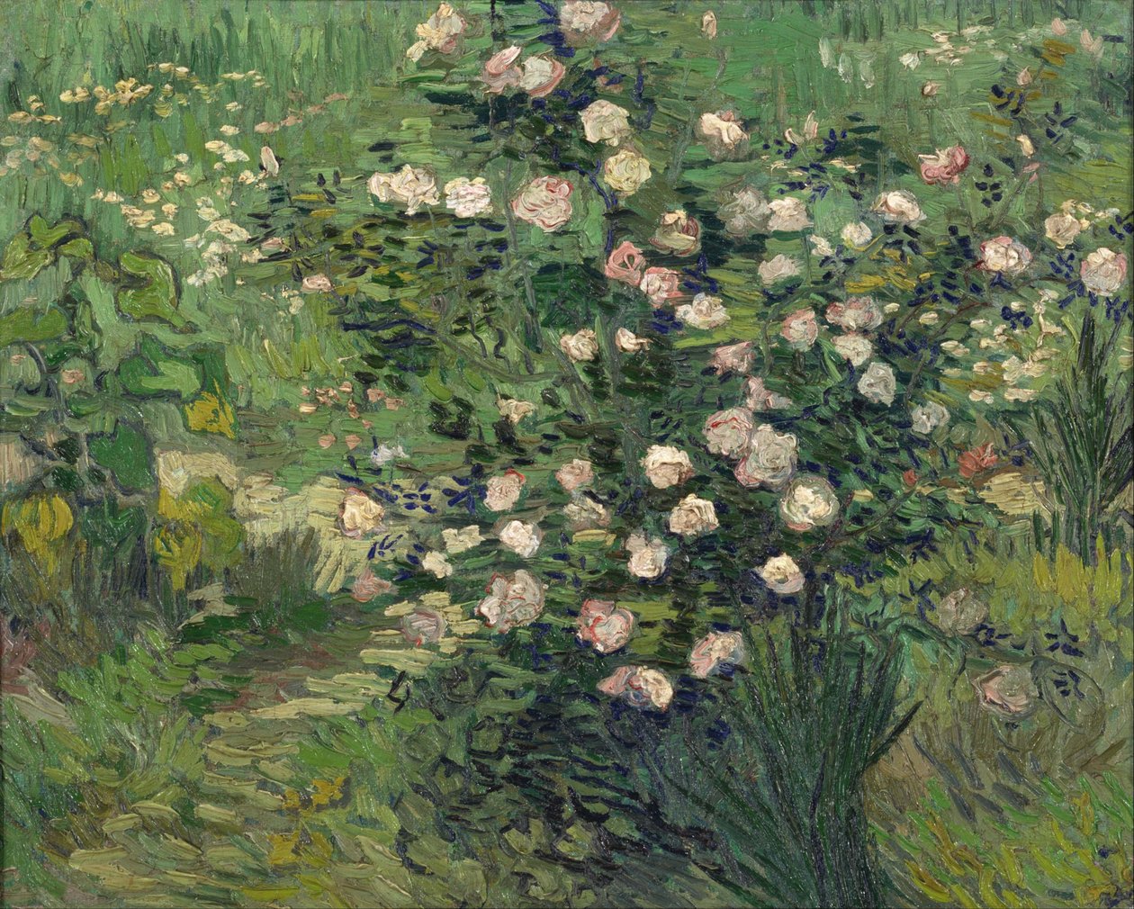 Rose af Vincent van Gogh