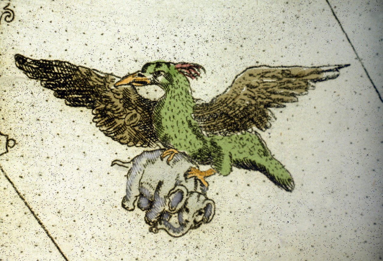 Kæmpefuglen Rok bærer en elefant mellem sine drivhuse for at give den til sine unger, detalje af et verdenskort af Vincenzo Coronelli (1650-1718). 17. århundrede af Vincenzo Maria Coronelli