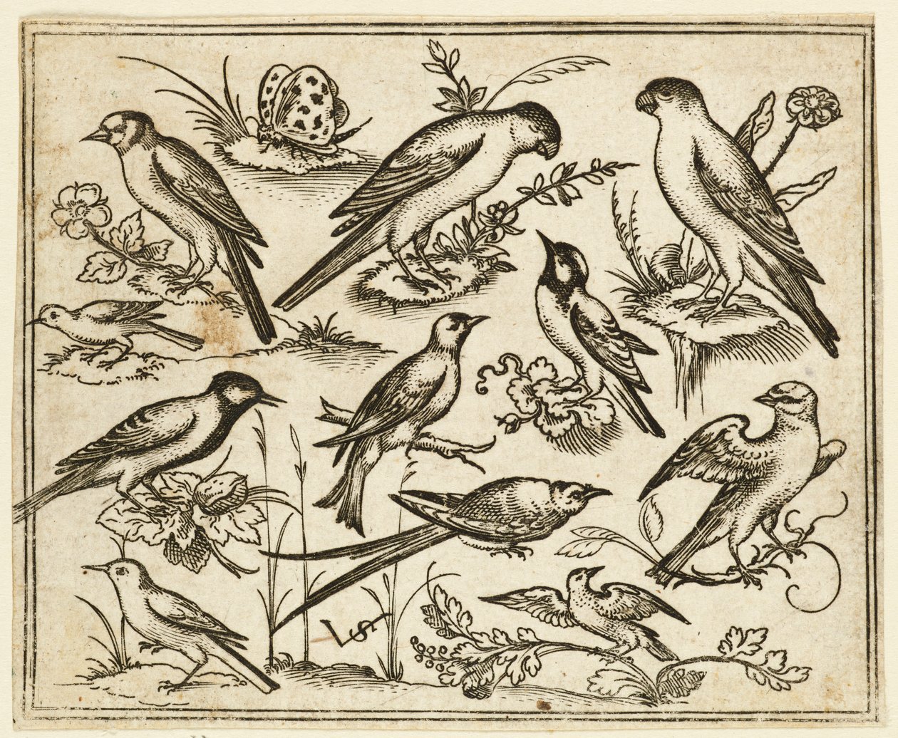 Elleve fugle sidder på pletter af blomstrende løv og små grene..., 1557. af Virgil Solis