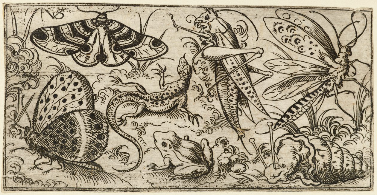 Gruppe af insekter og dyr på en almindelig grund med græs..., 1530 - 1562. af Virgil Solis