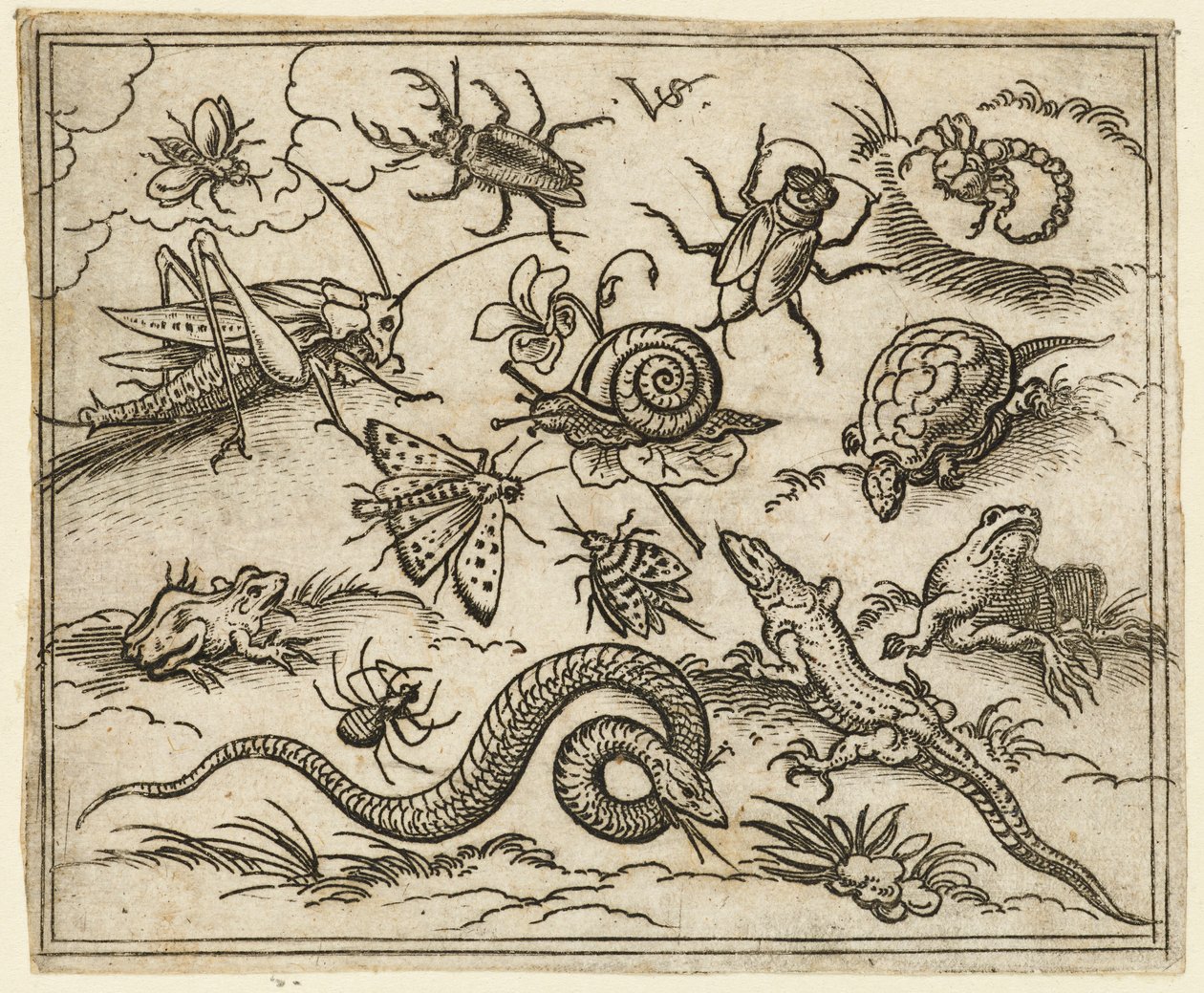 Gruppe af insekter og krybdyr på almindelig jord med sten, inklusive en leguan, en firben..., 1557. af Virgil Solis