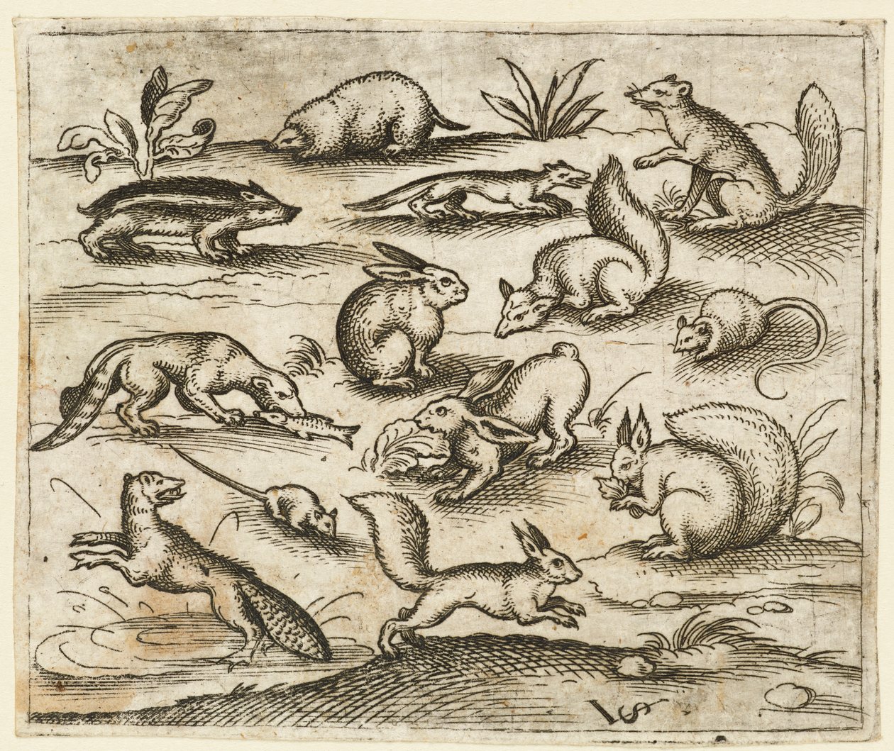 Gruppe af små skovdyr, der spiser og løber rundt om en dam, inklusive en mus..., 1557. af Virgil Solis