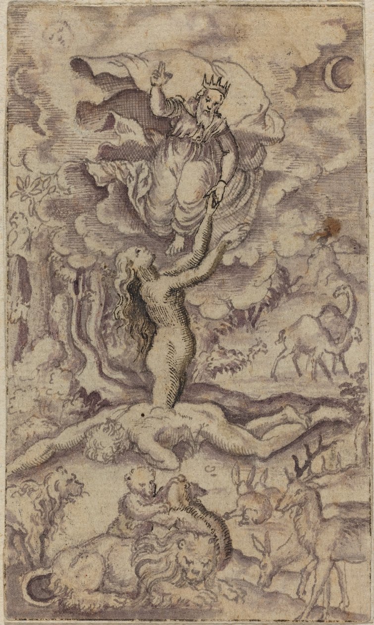 Evas skabelse af Virgil Solis