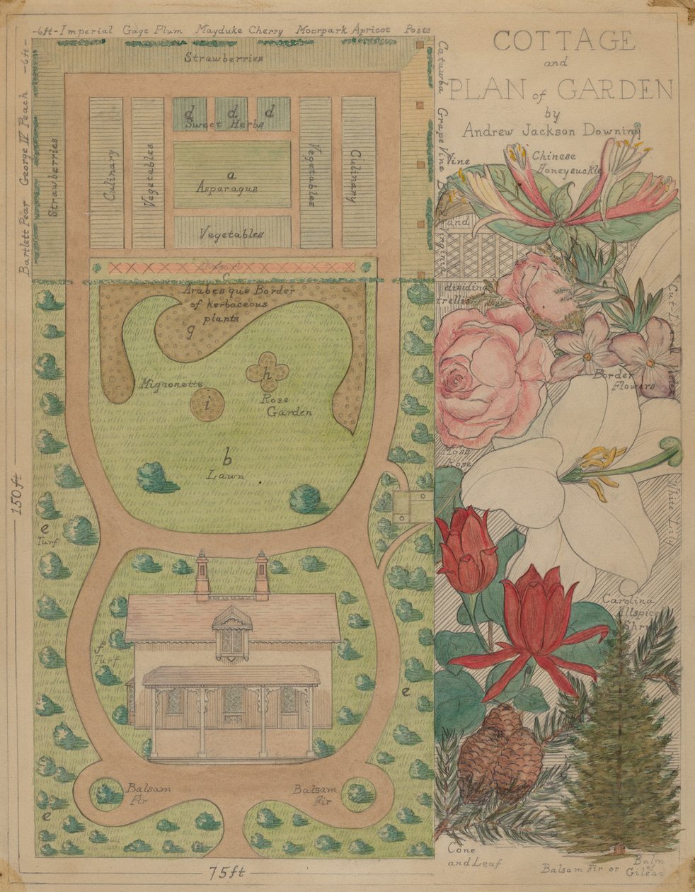 Grundplan for sommerhus, ca. 1936. af Virginia Richards