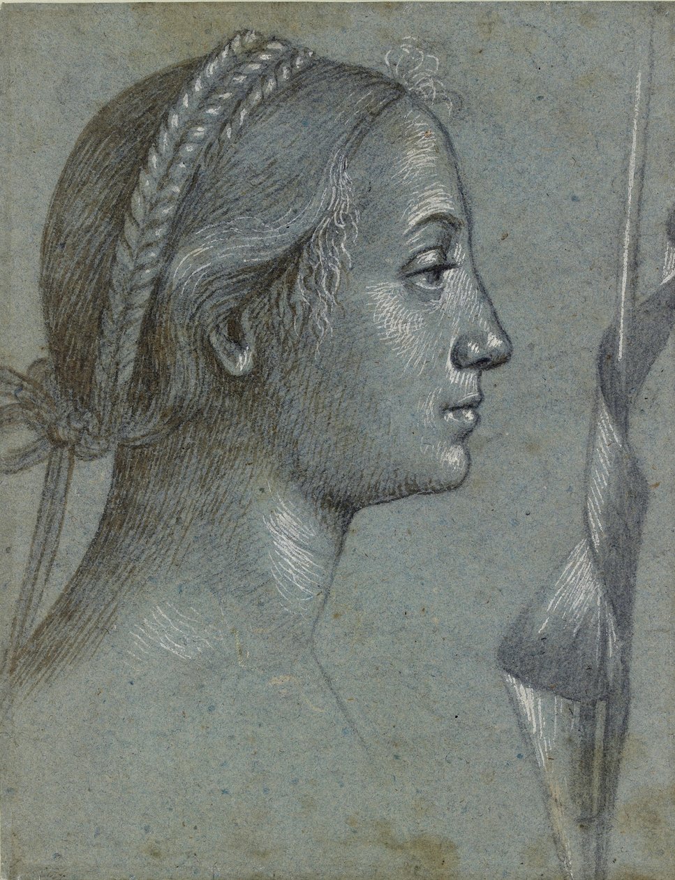 Hovedet af en kvinde med en vimpel viklet om en pæl, slutningen af det 15. århundrede af Vittore Carpaccio