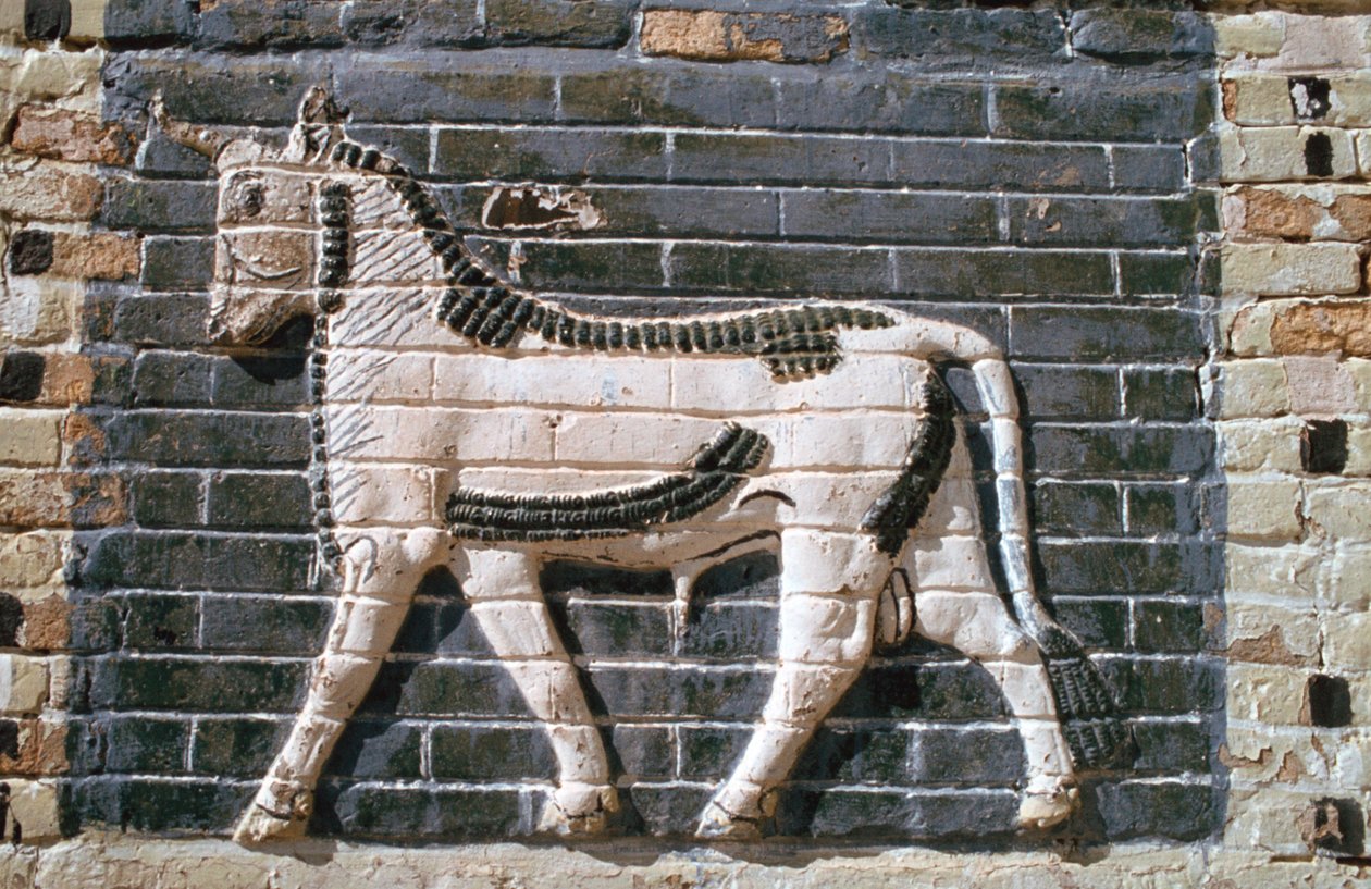 Tyr, glaserede mursten, Ishtar-porten, Babylon, Irak. af Vivienne Sharp