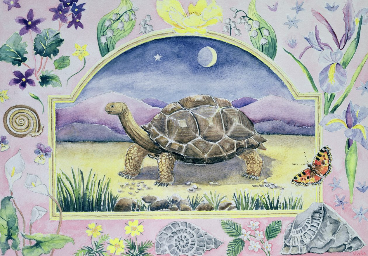 Kæmpeskildpadde (maj måned fra en kalender) af Vivika Alexander