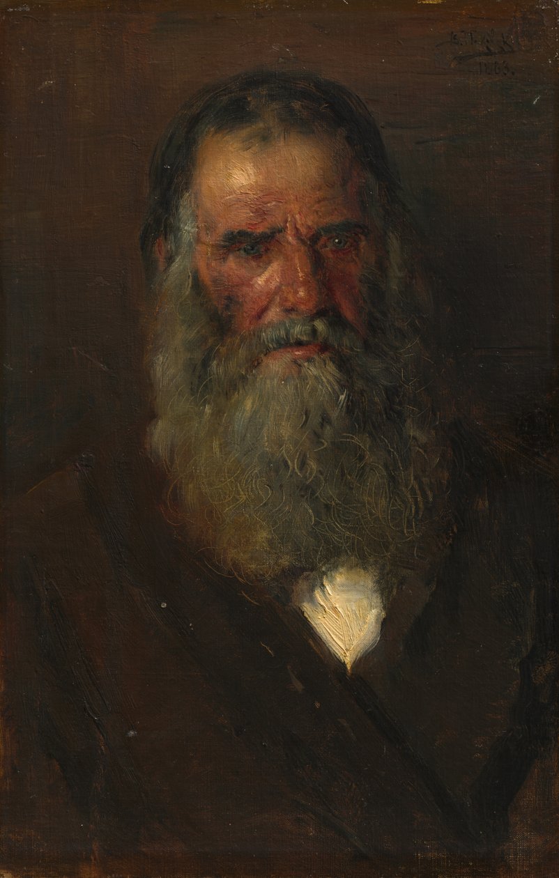 Studie af en gammel mands hoved, 1883. af Vladimir Egorovic Makovskij