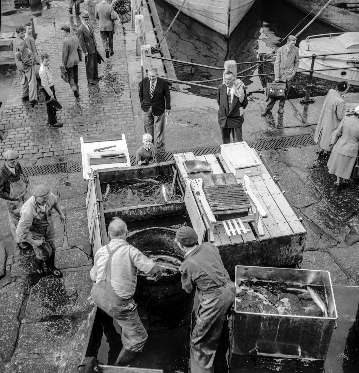 Fiskere i Island læsser deres fangst af på kajen af Volkmar Wentzel