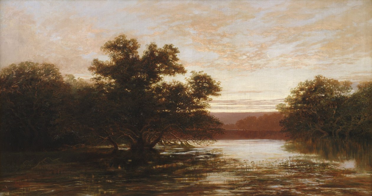 En australsk mangrove, ebbe af W.C. Piguenit