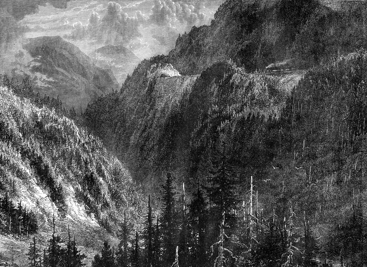 Schwarzwald, Tyskland, 1800-tallet af WHJ Pool