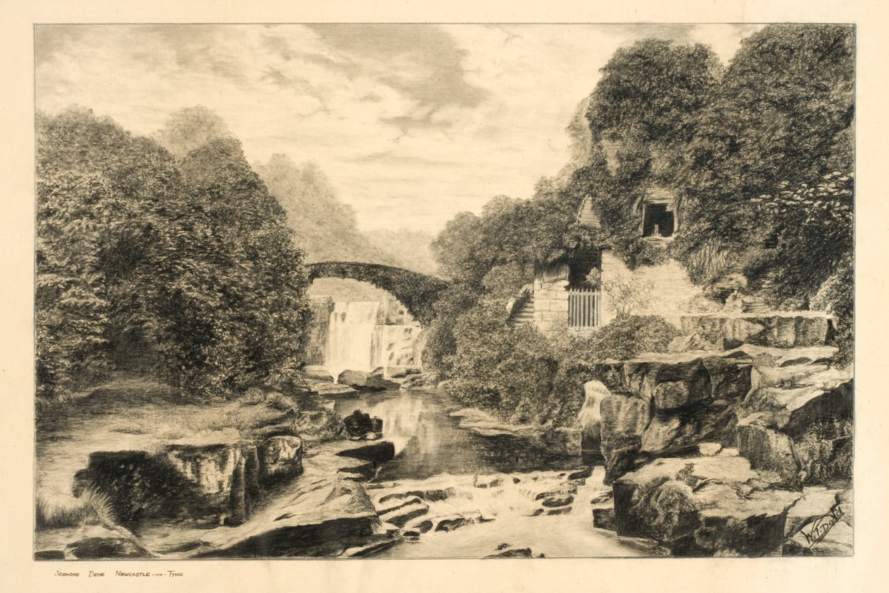 Jesmond Dene (kridt og blyant på papir) af W.T. Dodd
