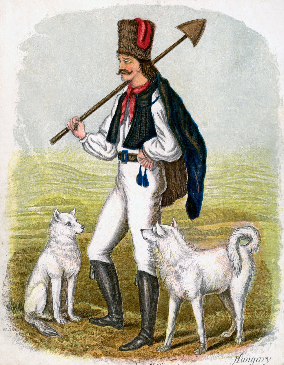 Ungarsk mand med hunde, 1809. af W. Dickes