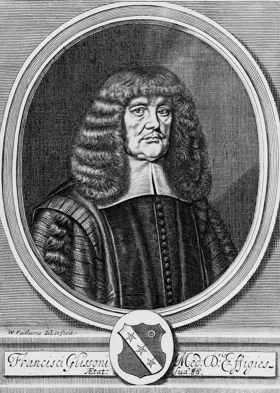 Portræt af Francis Glisson (1597-1677), britisk fysiker, anatom og læge, gravering af John Ward Dunsmore