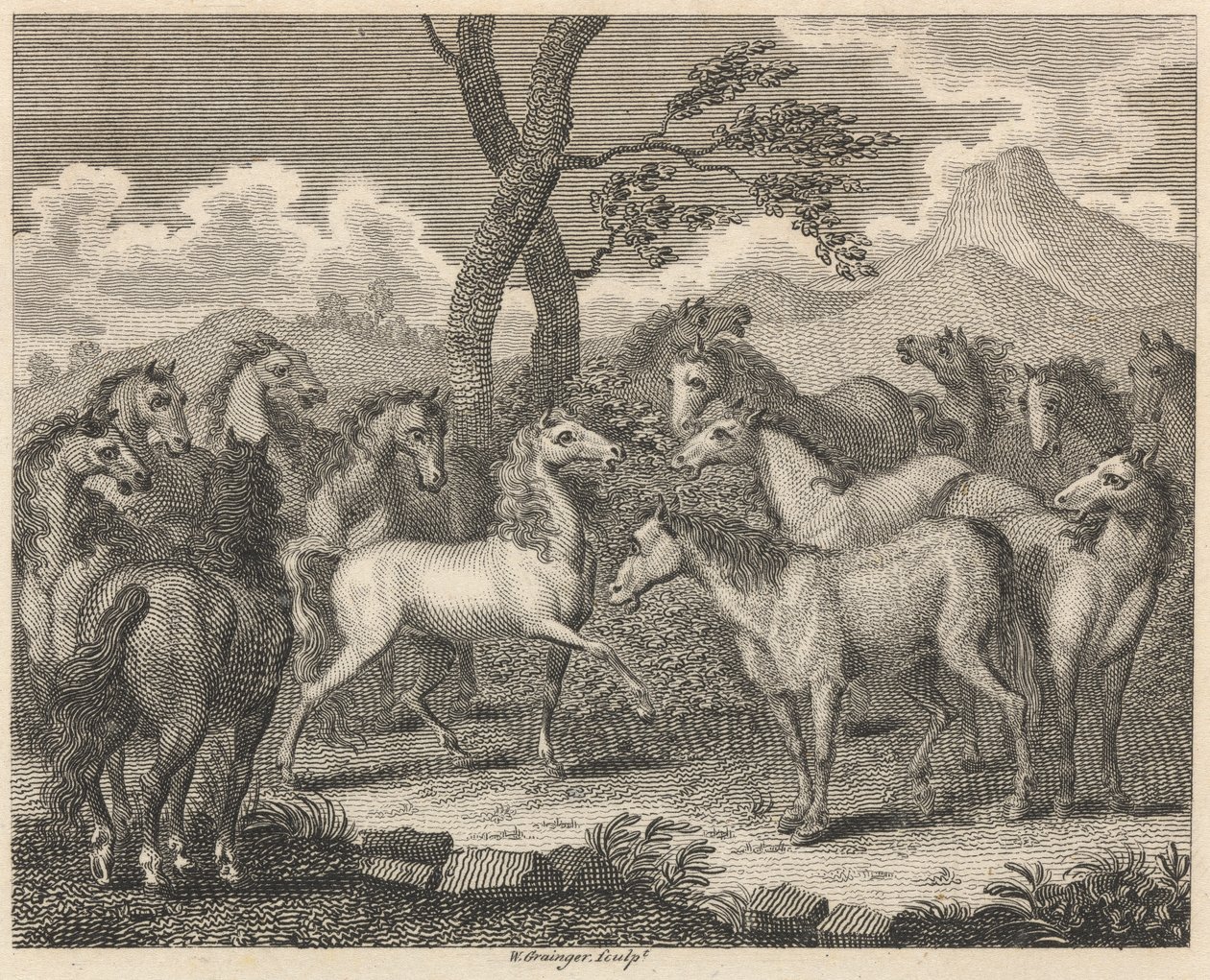 Hesterådet af W. Grainger