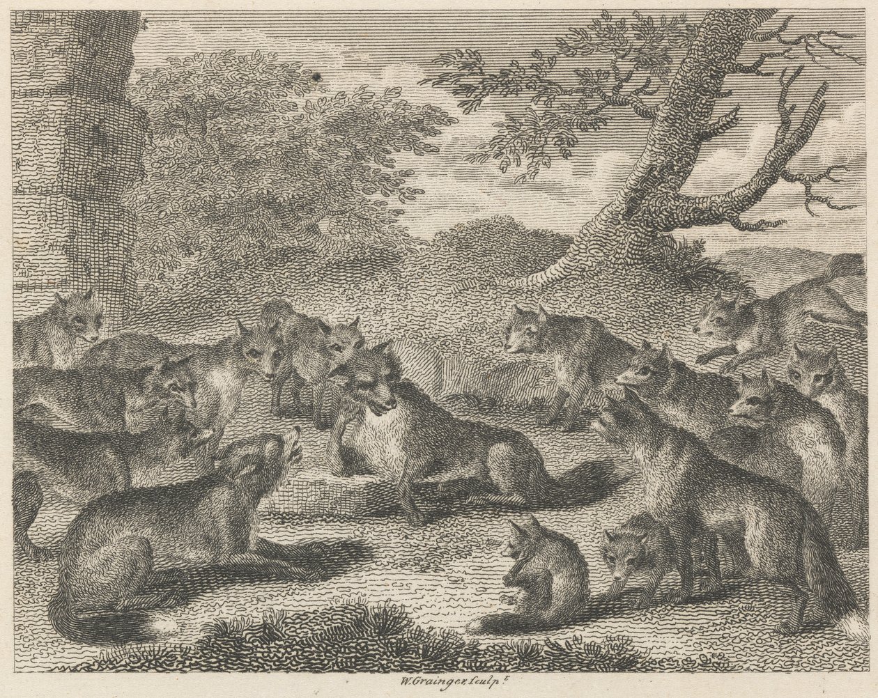 Ræven ved dødspunktet af W. Grainger
