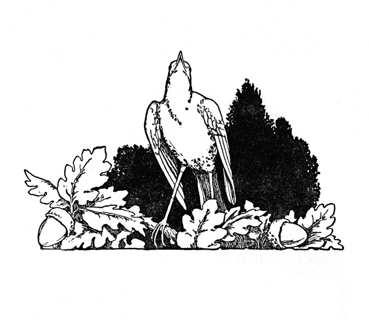 Among the Branches Dweled a Nightingale, c1930 af William Heath Robinson