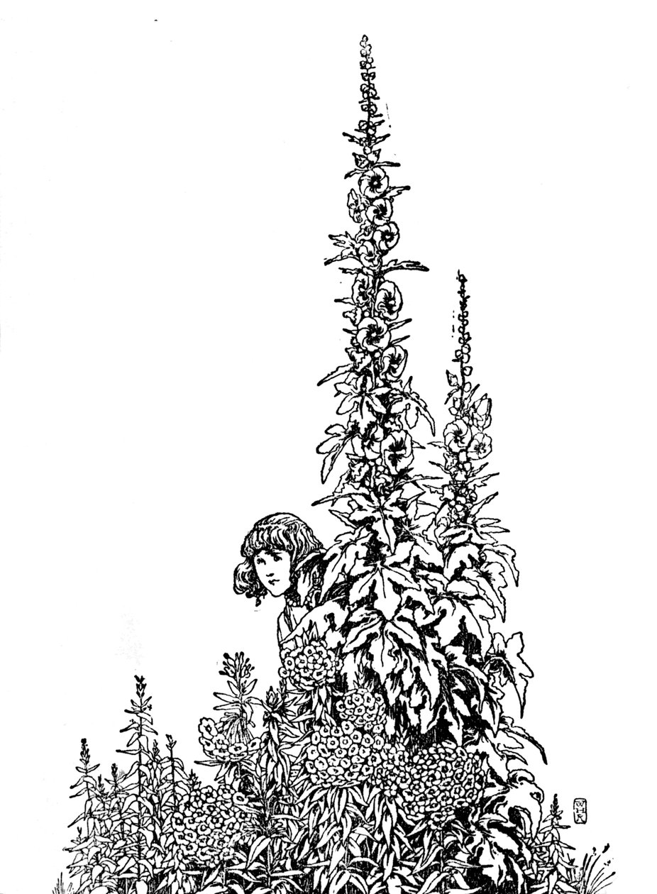 Gerda kendte hver blomst i haven, c1930 af William Heath Robinson