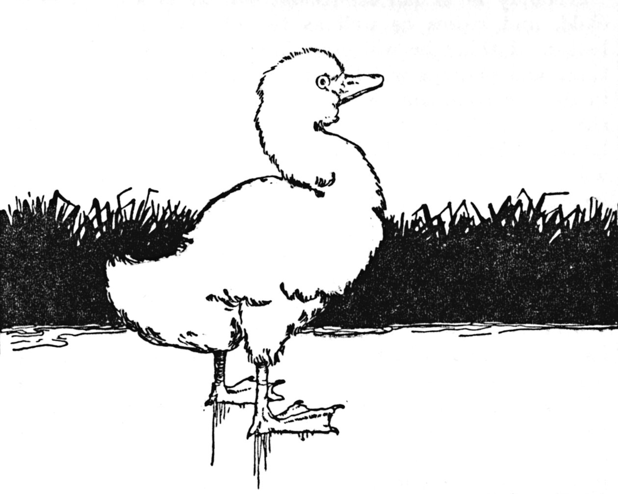 He Came to a Wide Moor, c1930 af William Heath Robinson