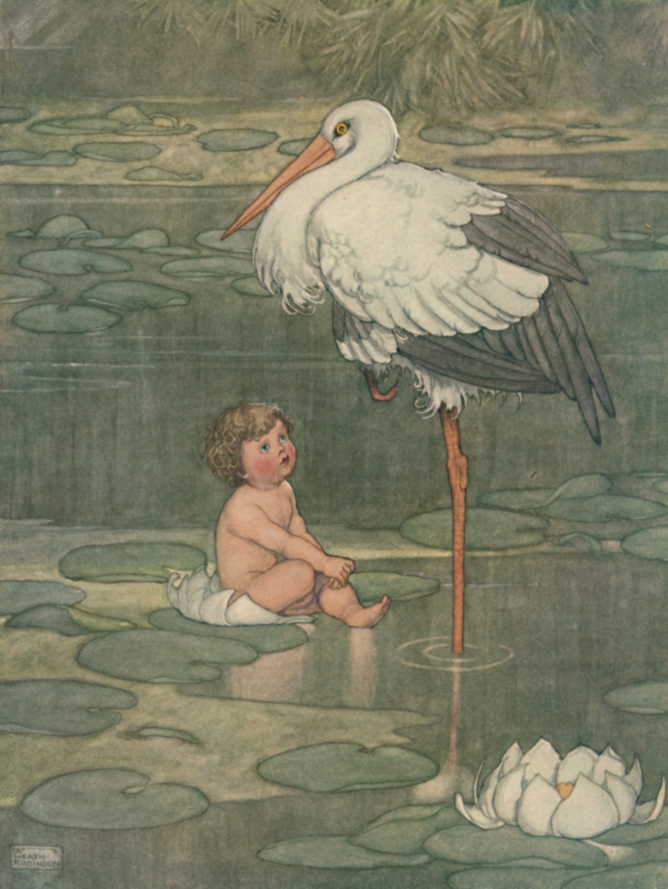 Knoppen åbnede sig i en fuldblæst blomst, c1930 af William Heath Robinson