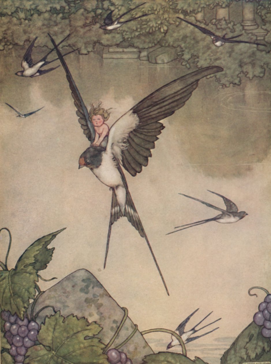 Ja jeg vil gå med dig! Said Tommelise, c1930 af William Heath Robinson