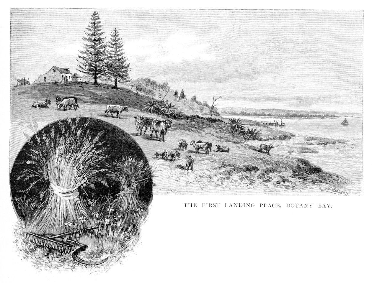 Det første landingssted, Botany Bay, New South Wales, Australien, 1886. af W. Macleod
