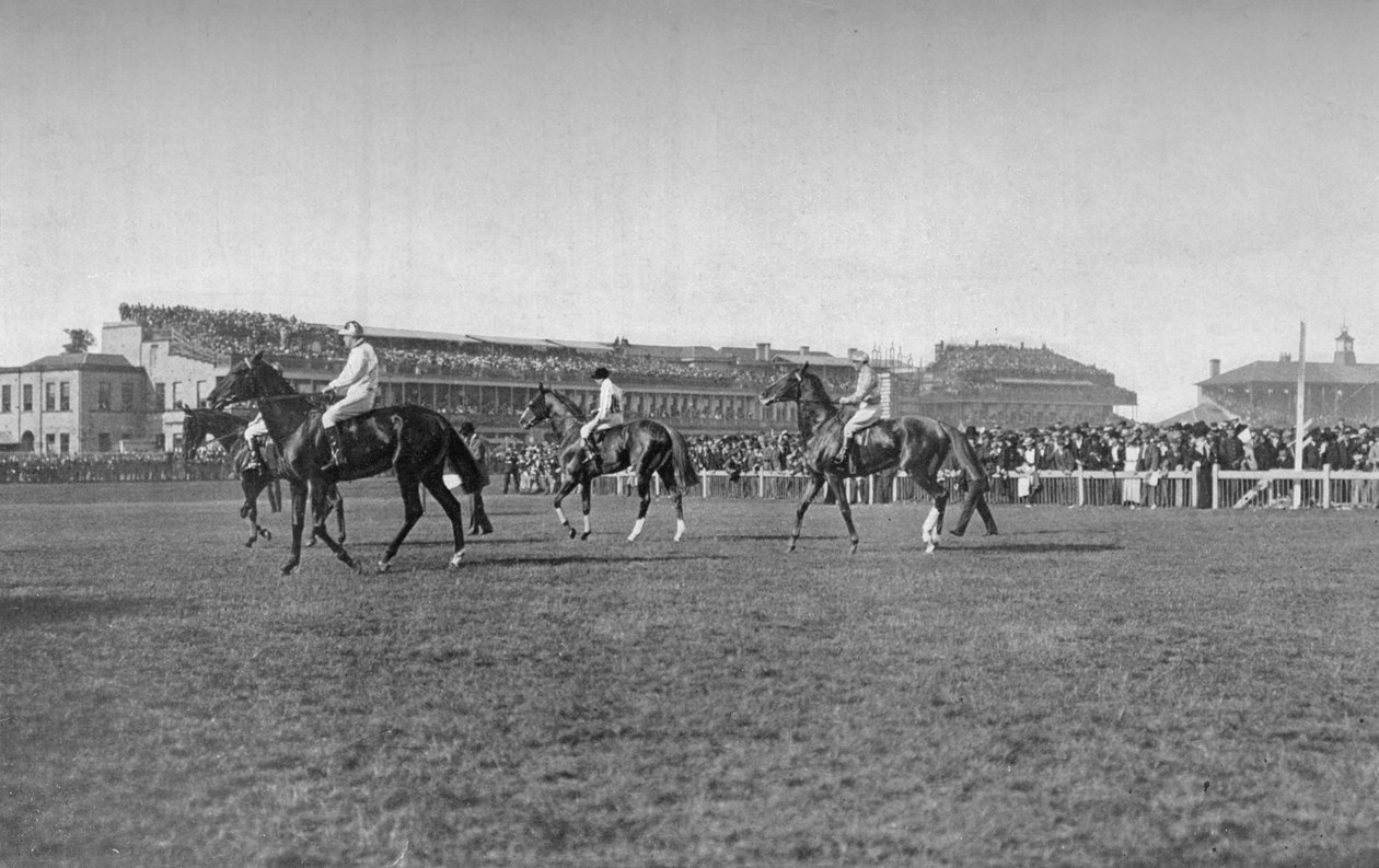 St. Leger-heste foran Doncaster-standen, c1901, 1903 af W. W. Rouch