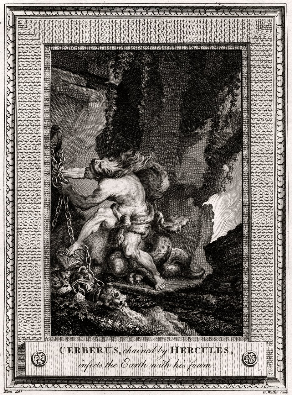Cerberus, lænket af Hercules, inficerer jorden med sit skum, 1774 af W. Walker